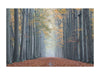 Tablou Sticla Forest Path II, 120 x 80 cm