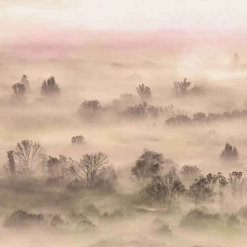 Tapet Foggy Landscape Peach Smooth VLAdiLA & VLDL-VLDLW0737S & VLDL-VLDLW0737S & VLDL-VLDLW0737S
