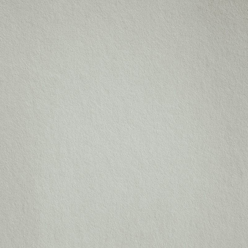 Tapet pentru copii Wonderful Wilds Gray Smooth VLAdiLA (5)