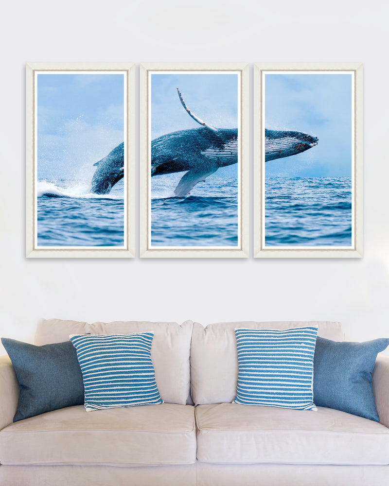 Tablou 3 piese Framed Art The Whale Triptych (1)