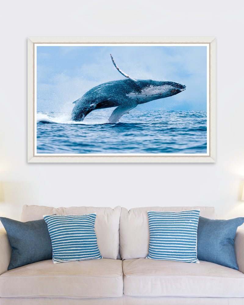Tablou Framed Art The Whale (1)