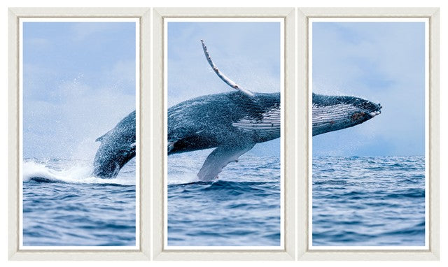 Tablou 3 piese Framed Art The Whale Triptych