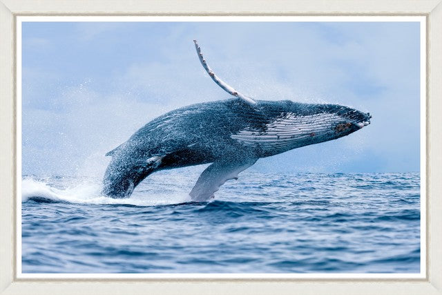 Tablou 2 piese Framed Art Whales (1)