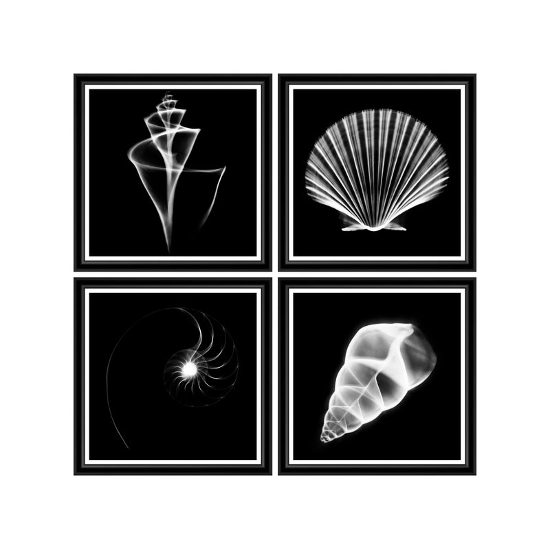 Tablou 4 piese Framed Art Translucent Sea Species