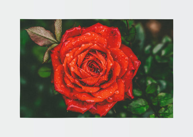 Traversa din poliester, Rugero 0028M Multicolor (1)