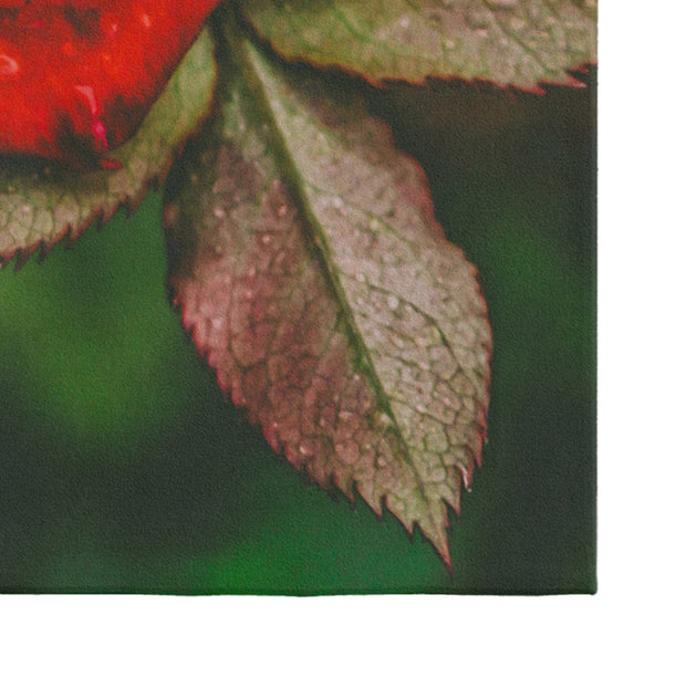 Traversa din poliester, Rugero 0028M Multicolor (2)