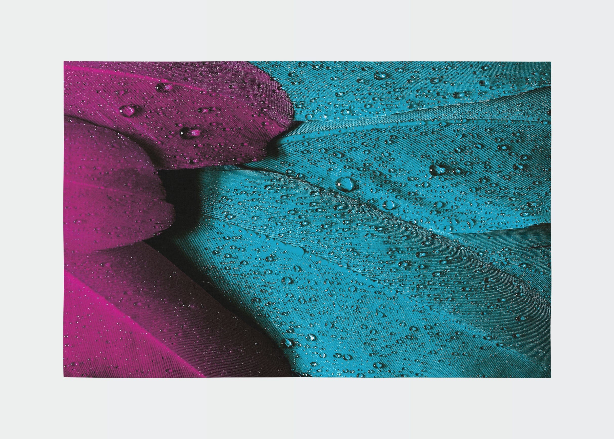 Traversa din poliester, Rugero 0029M Multicolor (1)