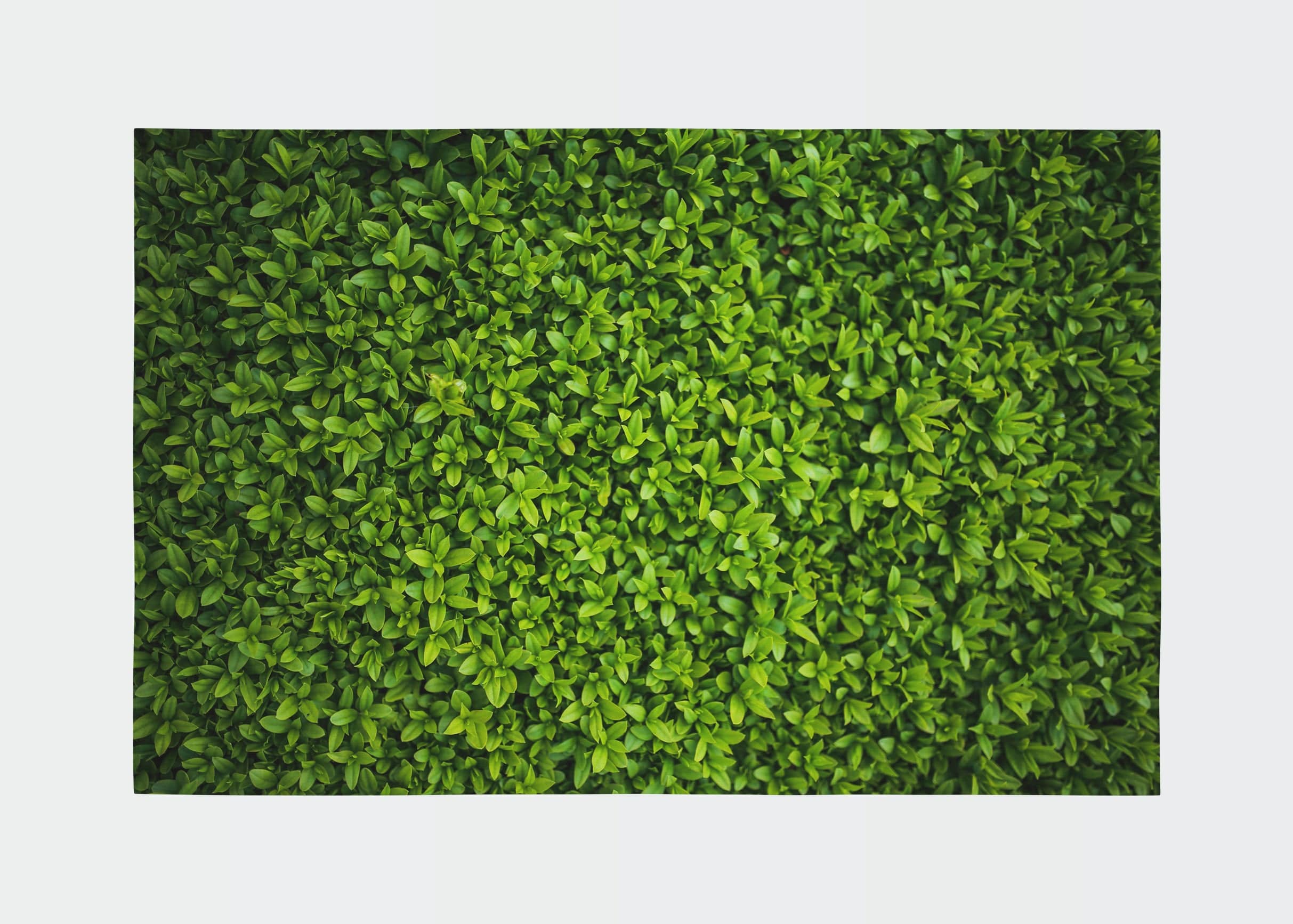 Traversa din poliester, Rugero 0032M Multicolor (1)