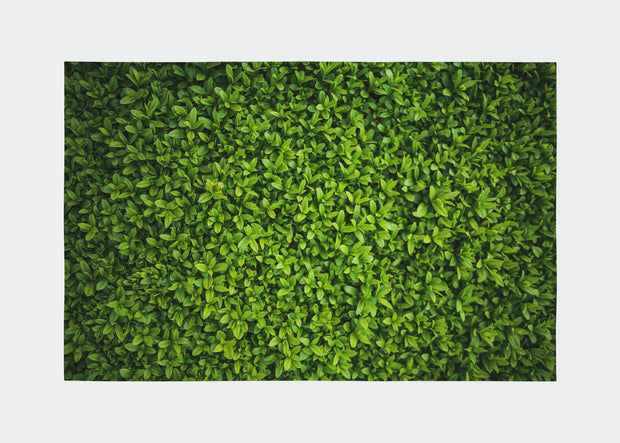 Traversa din poliester, Rugero 0032M Multicolor (1)