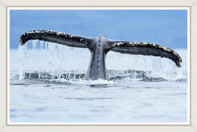 Tablou 2 piese Framed Art Whales (2)