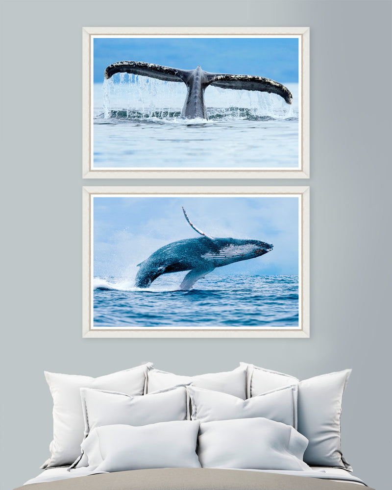 Tablou 2 piese Framed Art Whales (3)