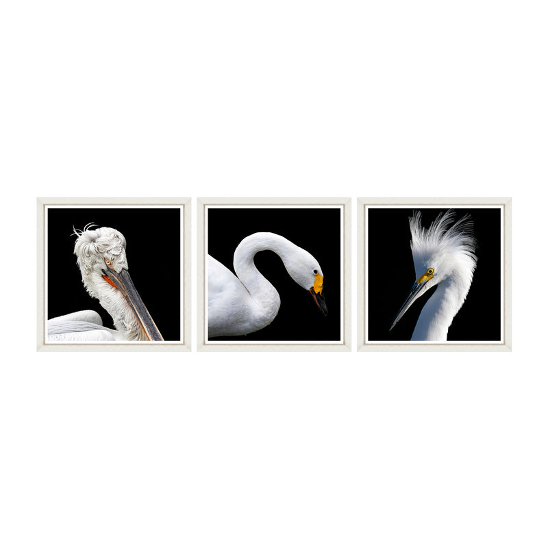 Tablou 3 piese Framed Art White Birds