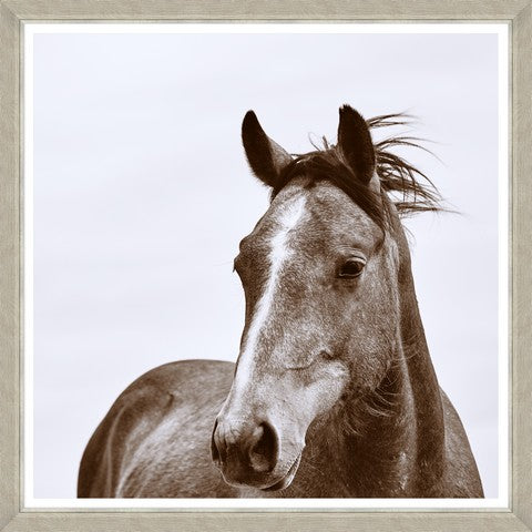 Tablou 4 piese Framed Art Horse Portraits (3)
